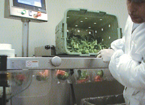Fresno Produce Grows Its School Lunch Business with Faster Packaging Process